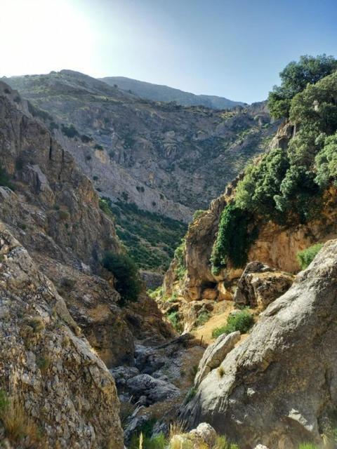 Cave Holidays Andalucia Los Carriones Exterior foto